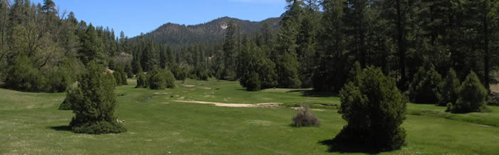 Chuska Meadow along Tsaile Creek