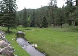 Spruce-Fir Forest below Roof Butte